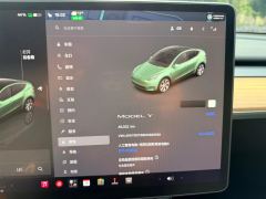 2022 Tesla Model Y 2022 Facelift rear wheel driveEdition #18