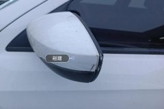 Left Exterior Mirror