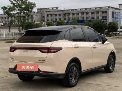 2023 Neta AYA 2023 318 Lite #8