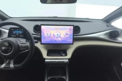 2025 BYD Dolphin 2025 Smart Drive 420km freeEdition #13