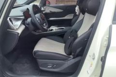 2026 BYD Dolphin 2025 Smart Drive 420km freeEdition #9
