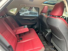 2018 Lexus NX 2017 2.0T AT 300Feng ShangEdition4WD (Imported) #8