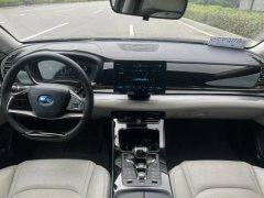 2021 BYD E9 2022 Business #4