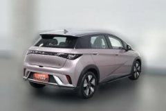 2022 BYD Dolphin 2021 401km knightEdition #2
