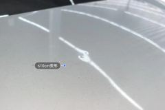 Trunk Lid