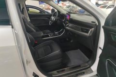 2024 Haval H6 2023 China tideEdition 1.5T AT Champion #8