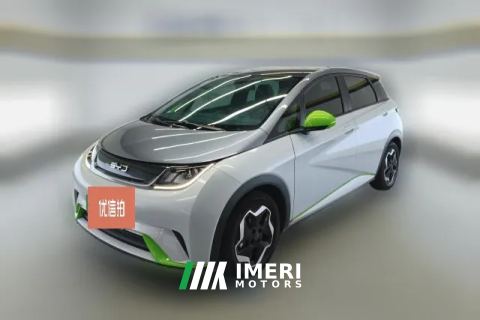 2022 BYD Dolphin 2021 405km Fashion