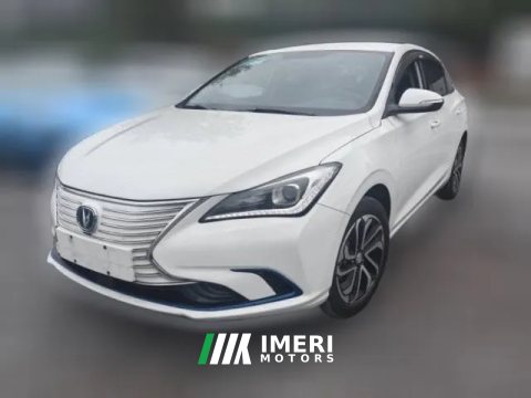 2022 Chang'an Eado EV 2019 EV460 sharedEdition EV
