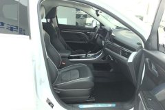 2022 Haval H6 2021 1.5T AT China tideChampion #8