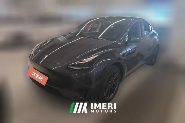 2024 Tesla Model Y 2024 rear wheel driveEdition