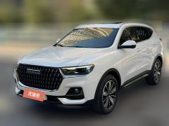 2024 Haval H6 2023 China tideEdition 1.5T AT Champion #1