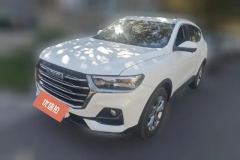 2022 Haval H6 2021 1.5T AT China tideChampionGDI #1