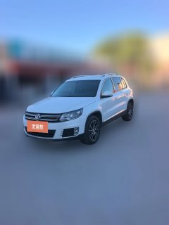 2015 Volkswagen Tiguan 2015 1.8T AT Luxury 4WD #1