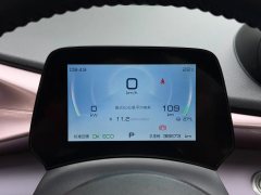 2022 BYD Dolphin 2021 405km Fashion #10