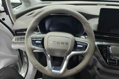 2024 Roewe iMAX8 2023 2.0T AT 400TGI Enjoy moreEdition #15