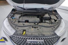 2024 Haval M6 2023 PLUS 1.5T AT DCT EliteSmart Connect #10