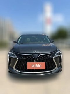 2023 Dongfeng Fengxing Fengxing Youting 2022 1.5T AT DCTChase the wavesEdition #2