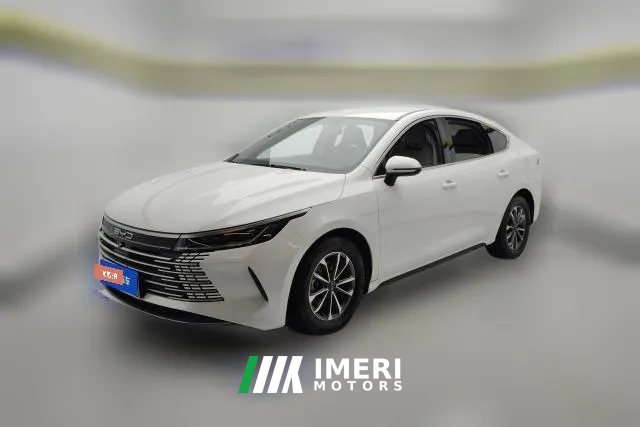 2024 BYD Destroyer 05 2023 Champion 1.5L AT DM-i 55KM Luxury