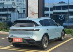 2022 Voyah Free 2021 4WDStandardEREVExclusiveLuxury Pkg #10
