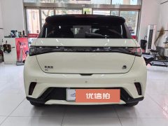 2024 BYD Dolphin 2024 Glory 420km Fashion #14