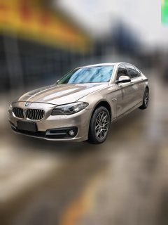 2015 BMW 5 Series 2014 2.0T AT 525LiLeading #1