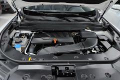 2021 Haval H6 2021 1.5T AT ChampionGDI #10