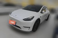 2021 Tesla Model Y 2021StandardBattery lifeRWDEdition #1