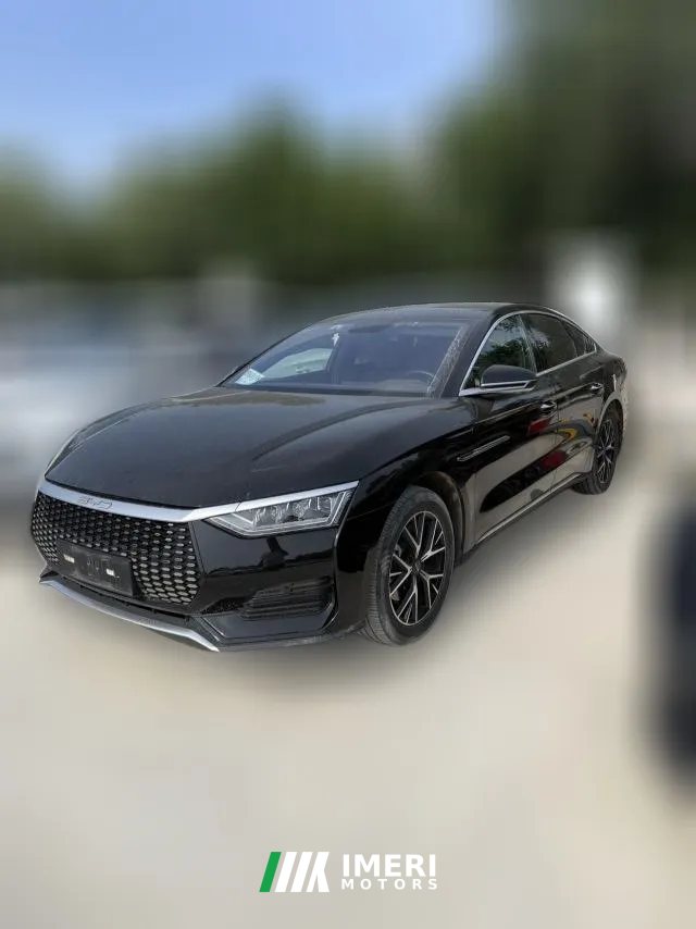 2024 BYD E9 2022 Business