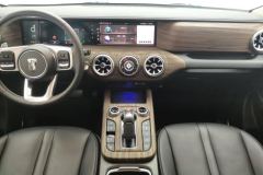 2022 Tank 300 2021 CityEdition 2.0T AT must #16