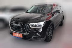 2024 Haval H6 2023 China tideEdition 1.5T AT Champion #1
