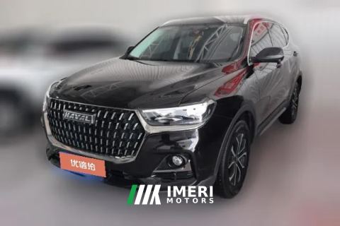 2024 Haval H6 2023 China tideEdition 1.5T AT Champion