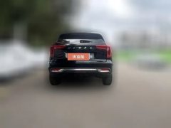 2021 Haval Chulian 2021 1.5T AT Large4Edition #8