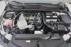 2023 Toyota Corolla 2023 1.2T AT Pioneer #10