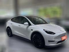 2022 Tesla Model Y 2022 rear wheel driveEdition #3