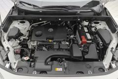 2023 Toyota Wildlander 2023 2.0L AT CVT4WDLuxuryPLUSEdition #10