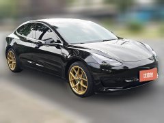2020 Tesla Model 3 2019 StandardBattery lifeRWDUpgradeEdition EV #2