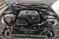 2022 BMW 3 Series 2022 Facelift 325Li MSport Pkg #10
