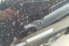 Left Front Fender