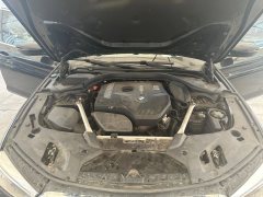 2021 BMW 5 Series 2020 2.0T AT 530LiLeadingLuxury Pkg #15