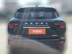 2024 Haval Big Dog Plus 2023 1.5T AT 2WDShionoEditionplus #4