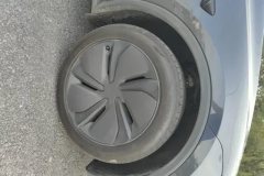 2025 Tesla Model Y 2025 rear wheel drive First Edition #6