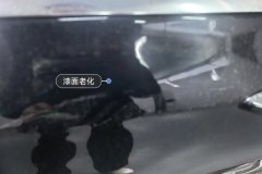 Left Rear Door