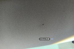 Driver Sun Visor