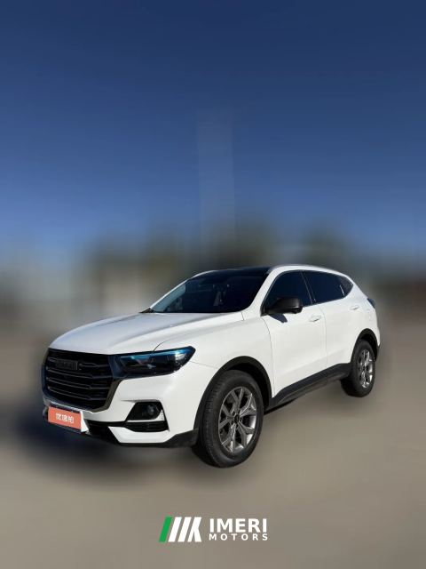2023 Haval H6 2021 1.5T AT China tideChampion
