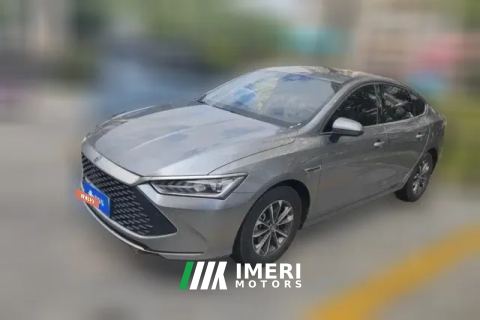 2023 BYD Qin Plus 2023 Champion 1.5 AT DM-i 55KMLeading