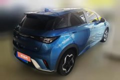 2022 BYD Dolphin 2023 420km Fashion #3