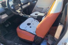 2024 Chang'an Qiyuan Chang'an Lumin 2024 205km orange windEdition #9