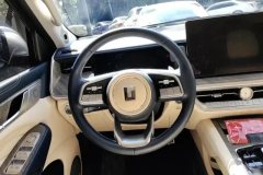 2022 Tank 500 2022 3.0T AT Business Create environment 5Seat #15