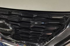 Intake Grille