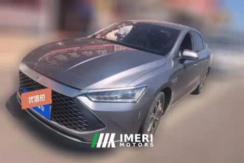 2024 BYD Qin Plus 2024 Glory 1.5L AT DM-i 55KMLeading